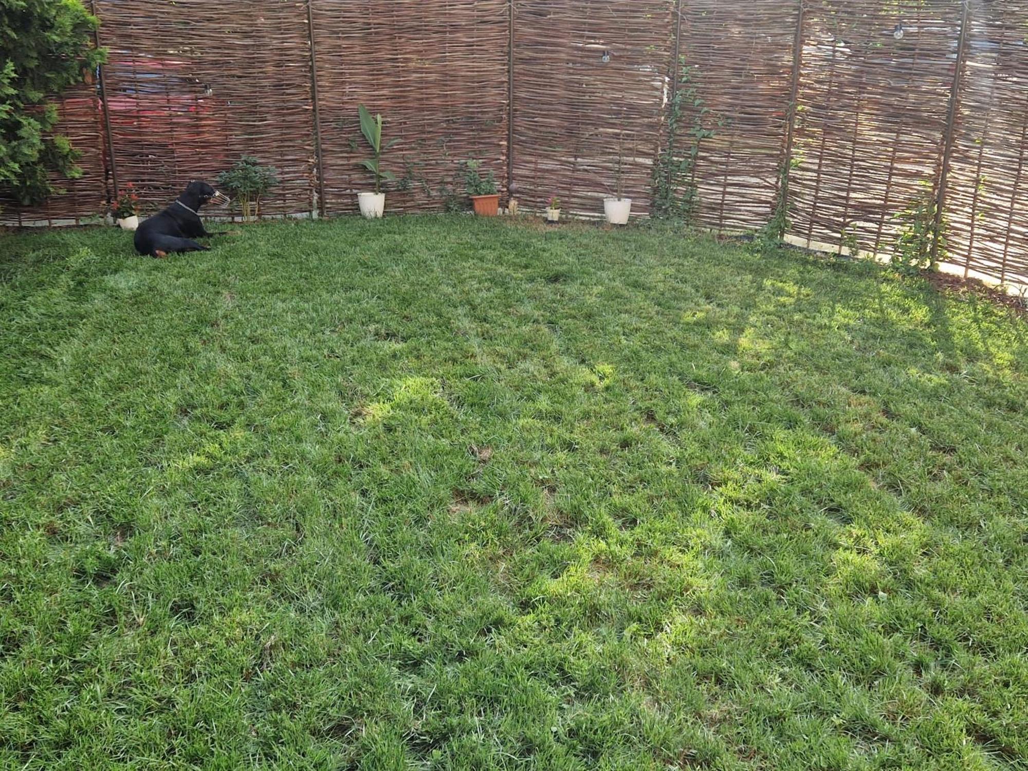 Branko'S Residence تيميشورا المظهر الخارجي الصورة